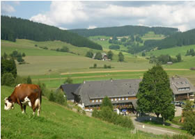 Hotel L&ouml;wen Langenordnach  Titisee Neustadt